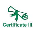 SIT20122 - Cert II in Tourism